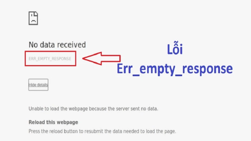 loi-err-empty-respone