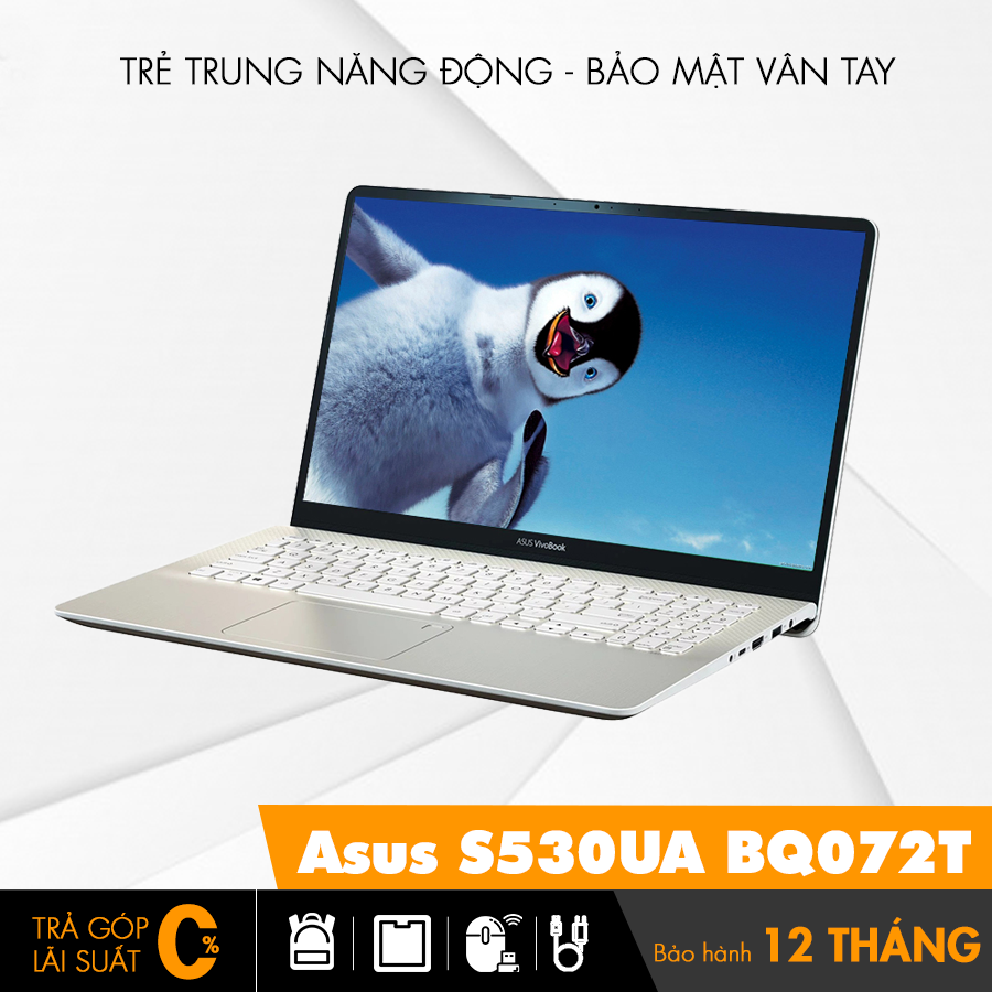 Asus S530UA BQ072T