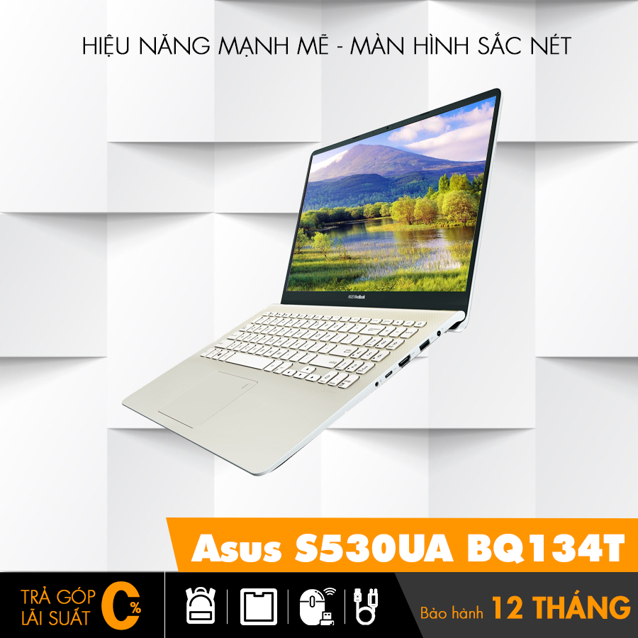 Asus S530UA BQ134T