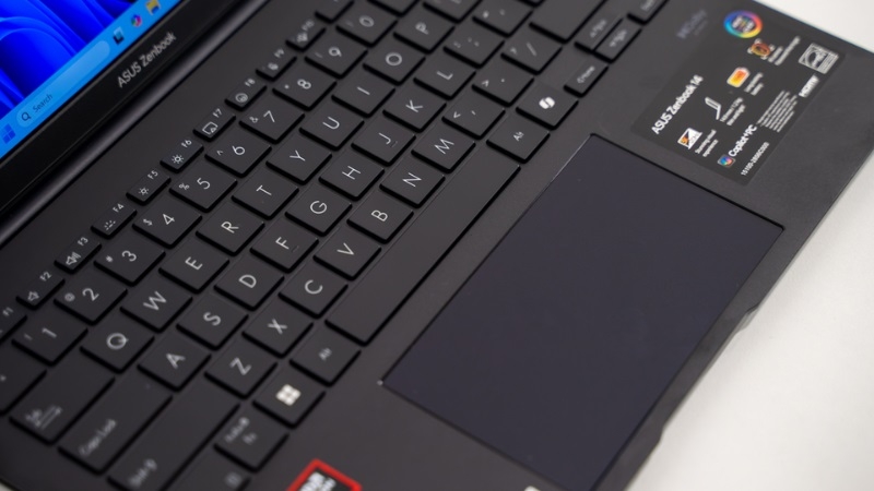 Asus Zenbook 14 UM3406KA-PP590WS