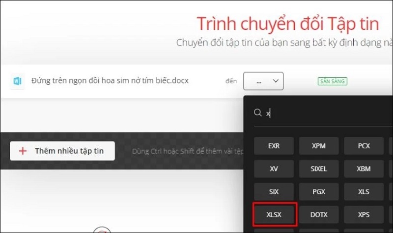 Chọn kiểu định dạng cho file