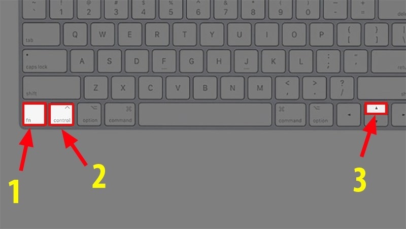 Các phím tắt di chuyển trong Excel