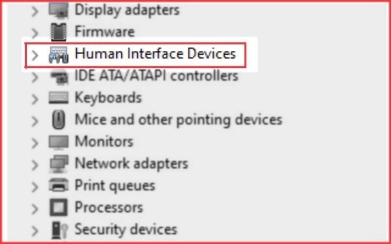 Chọn vào mục Human Interface Devices