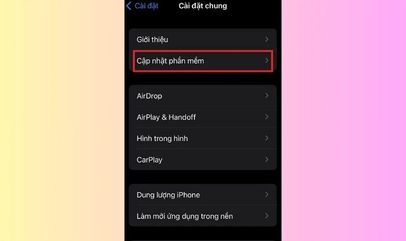Chọn vào mục Cập nhật phần mềm