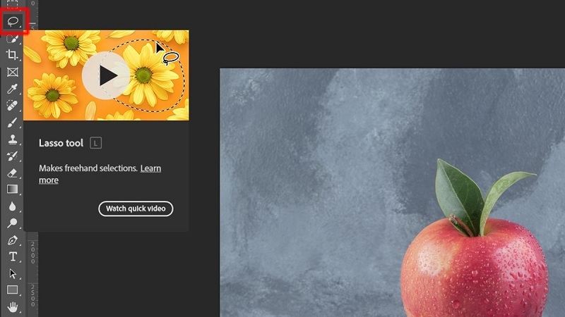 Chọn công cụ Lasso trên thanh công cụ Photoshop