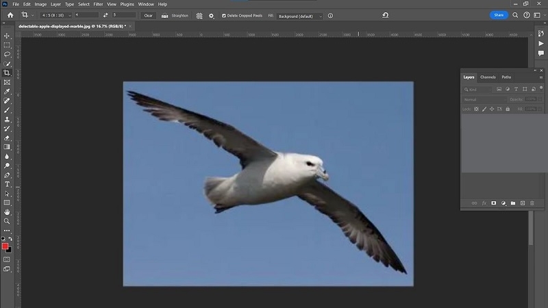 Chọn công cụ Magic Wand trong Photoshop
