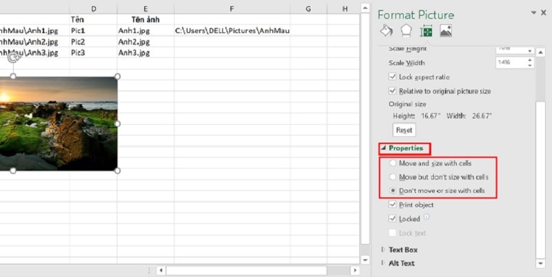 cach-chen-anh-vao-excel-14