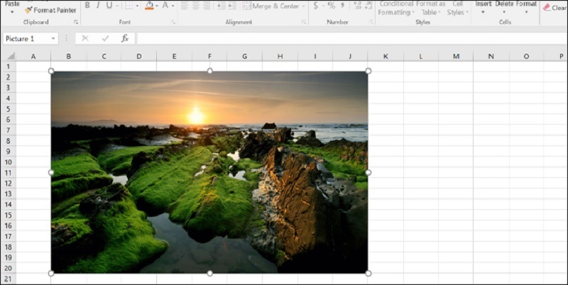 Kết quả bạn nhận được sau khi chèn ảnh vào Excel