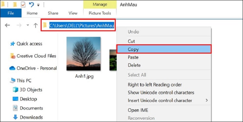 Nhấn vào tùy chọn Copy