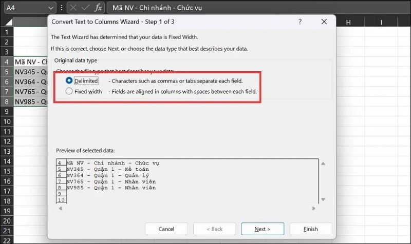 Cửa sổ Convert Text to Column Wizard hiển thị
