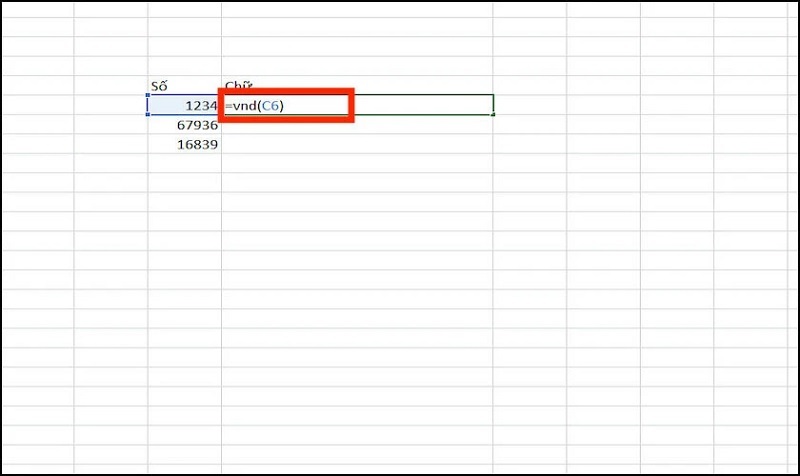 Sử dụng hàm = VND
