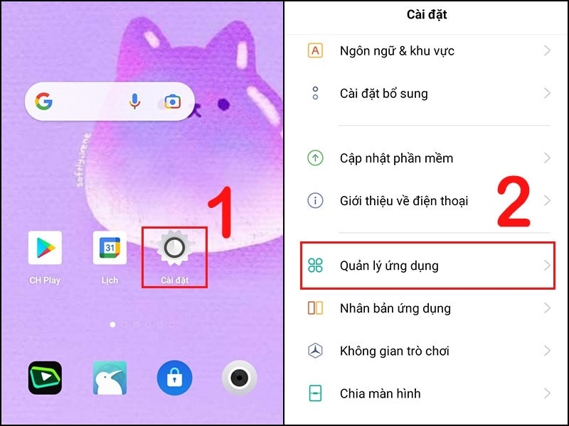 Chọn mục Quản lý ứng dụng