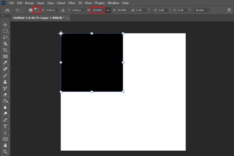 Thiết lập thông số W tại thanh công cụ là 50.00%