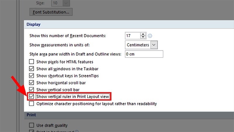 Đánh dấu tích vào mục Show vertical ruler in Print Layout view