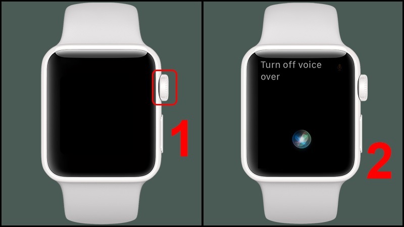 Sử dụng Siri để tắt trên Apple Watch