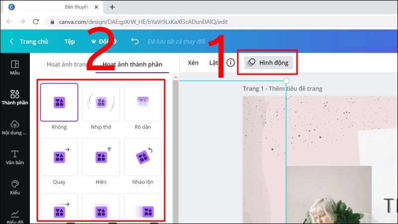 Chọn Hình động