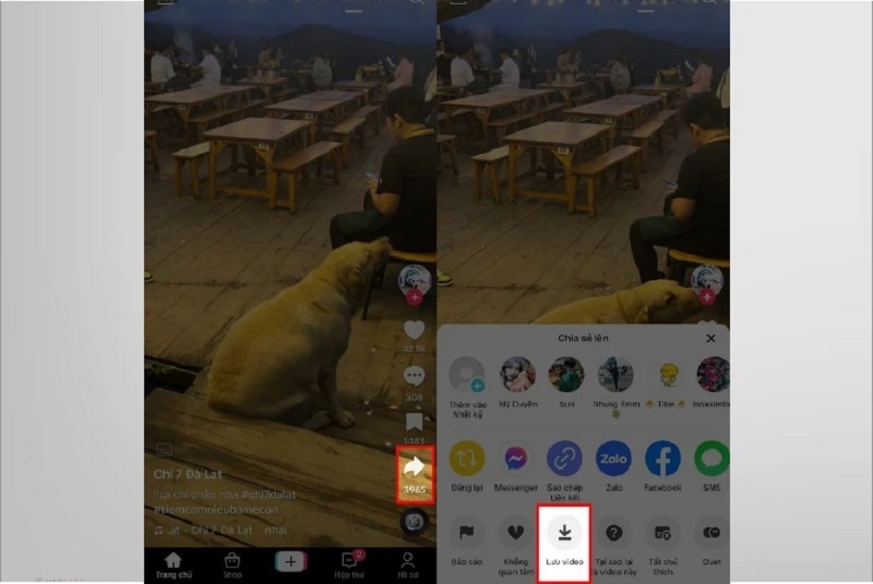 Nhấn nút Lưu video