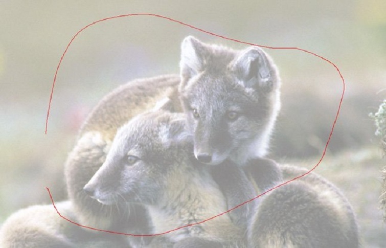 cach-su-dung-snipping-tool