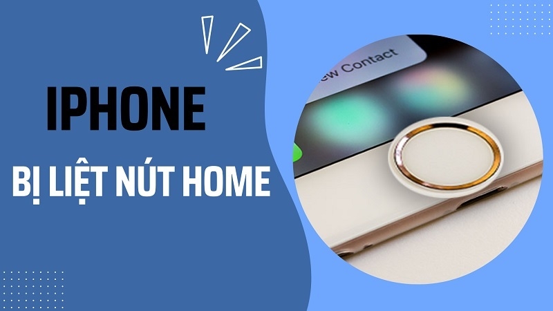 Nguyên nhân khiến nút home iPhone bị liệt là gì?