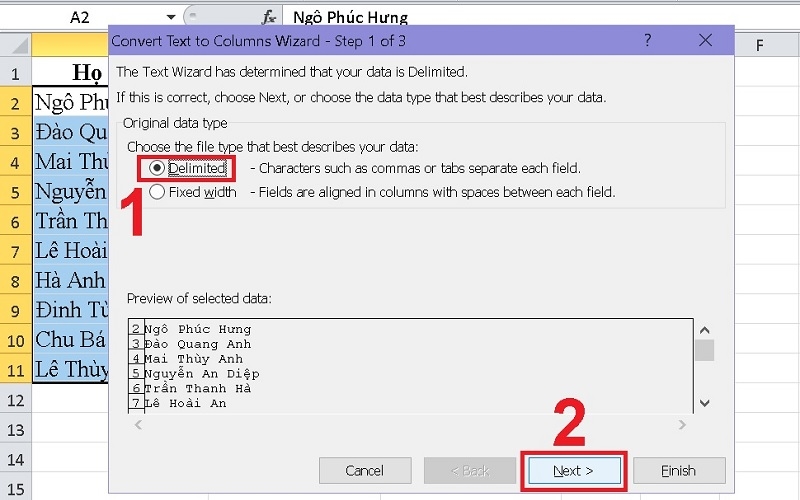 Chọn vào Delimited rồi bấm Next