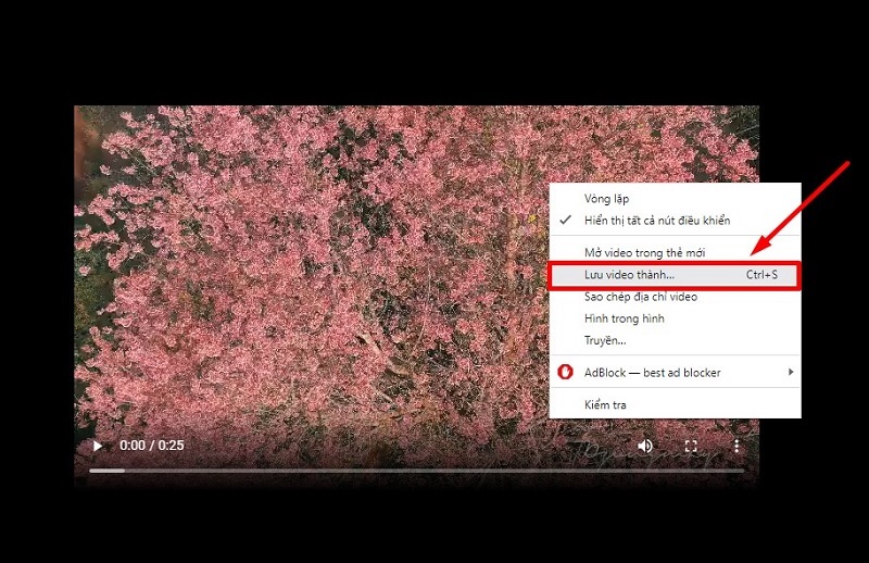 Chọn vào mục Lưu video thành...