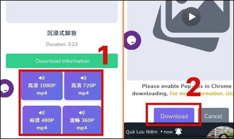 Nhấn nút Download