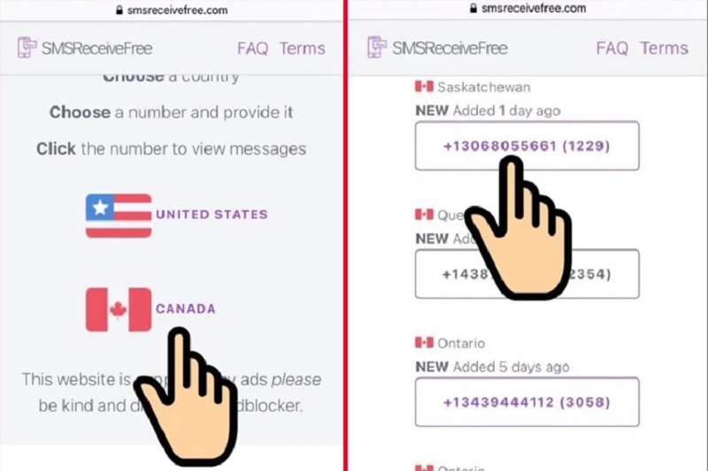 Sao chép một số điện thoại