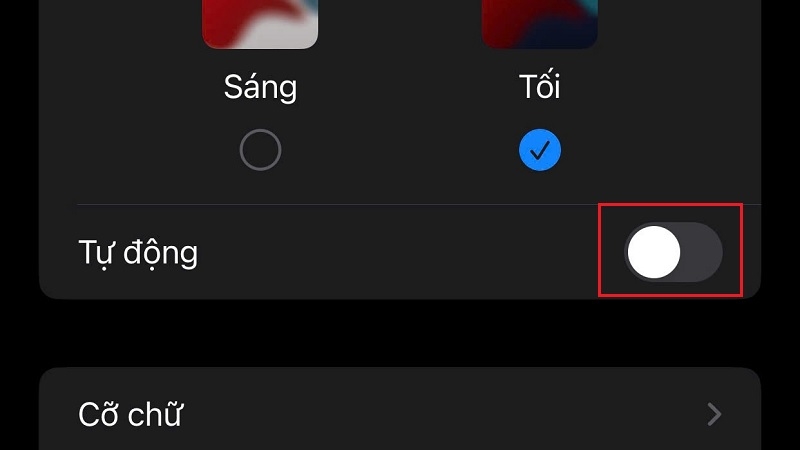 Cách tắt chế độ tự tăng giảm độ sáng màn hình iPhone
