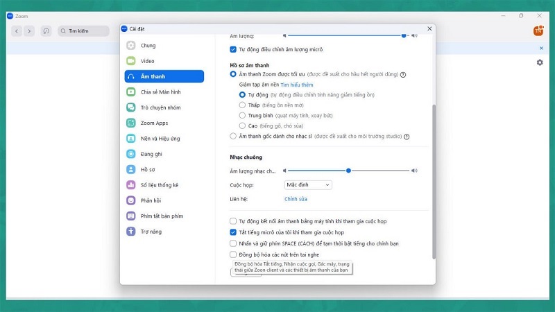 Đánh dấu tích vào ô Tắt tiếng micro của tôi
