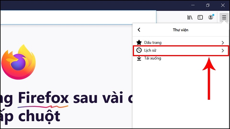 Mục Riêng tư & Bảo mật Firefox