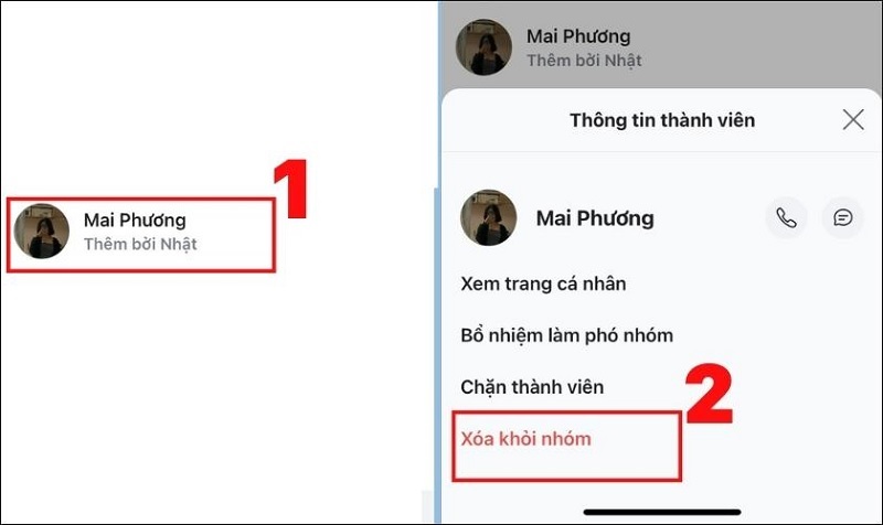 Nhấn nút Xóa khỏi nhóm