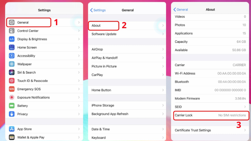 check iPhone lock bằng cách kiểm tra nhà mạng