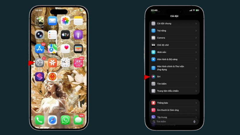 chon-muc-siri-trong-phan-cai-dat