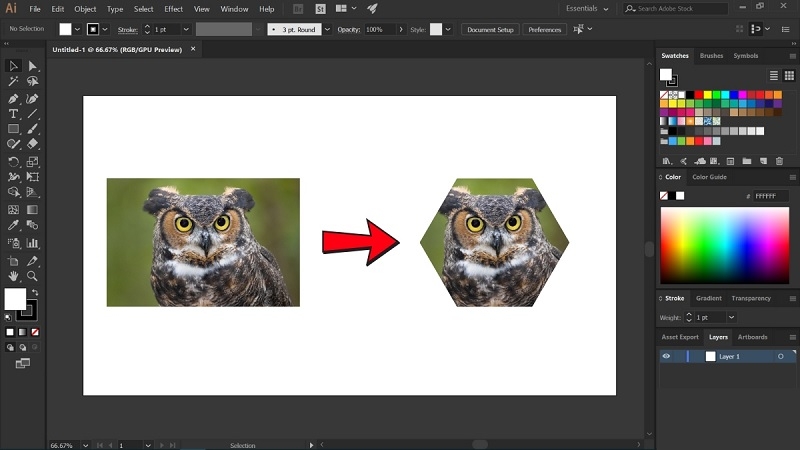 Cách sử dụng Clipping Mask trong AI (Illustrator) đơn giản, chuyên nghiệp cho người mới