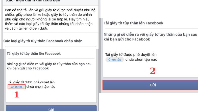 cung-cap-day-du-giay-to-tuy-than