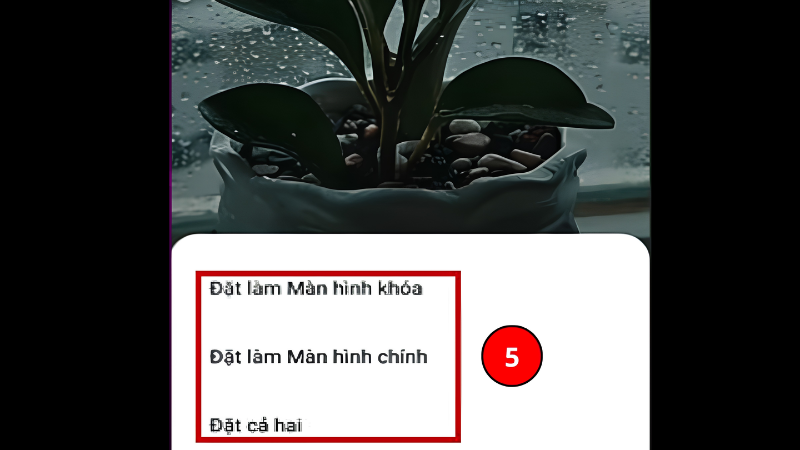dat-video-lam-hinh-nen-tren-xiaomi-sau
