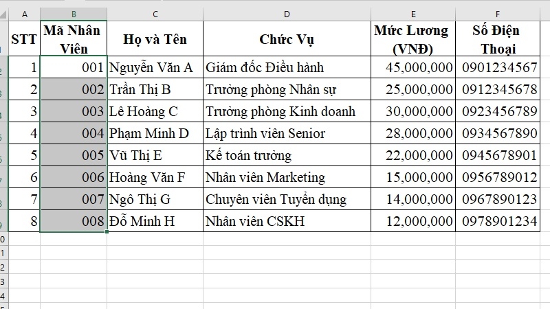 Kết quả sau khi định dạng, mã số vẫn giữ nguyên số 0 ở đầu Kết quả sau khi định dạng, mã số vẫn giữ nguyên số 0 ở đầu