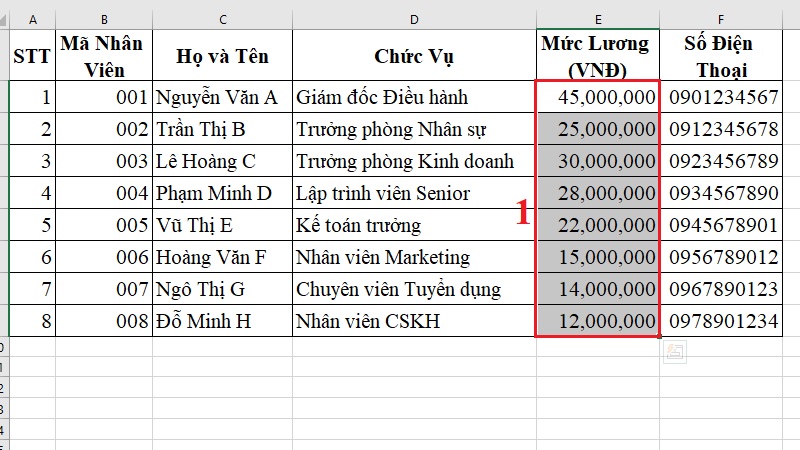 Định dạng tiền tệ bước 1 Định dạng tiền tệ bước 1