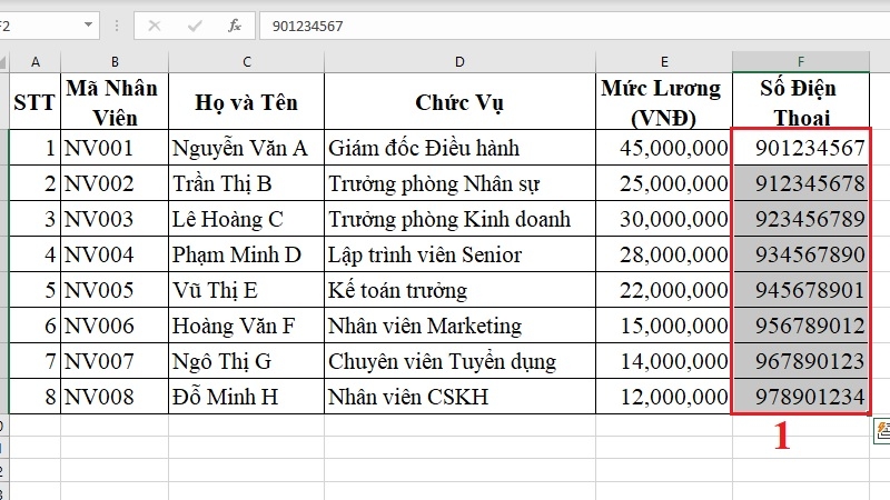 Định dạng số điện thoại bước 1 Định dạng số điện thoại bước 1
