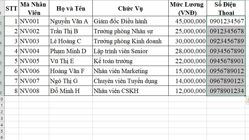 Định dạng số điện thoại bước 4 Định dạng số điện thoại bước 4