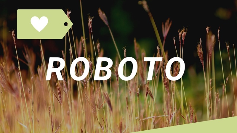 Một số font chữ tiếng Việt đẹp phổ biến hiện nay - Roboto