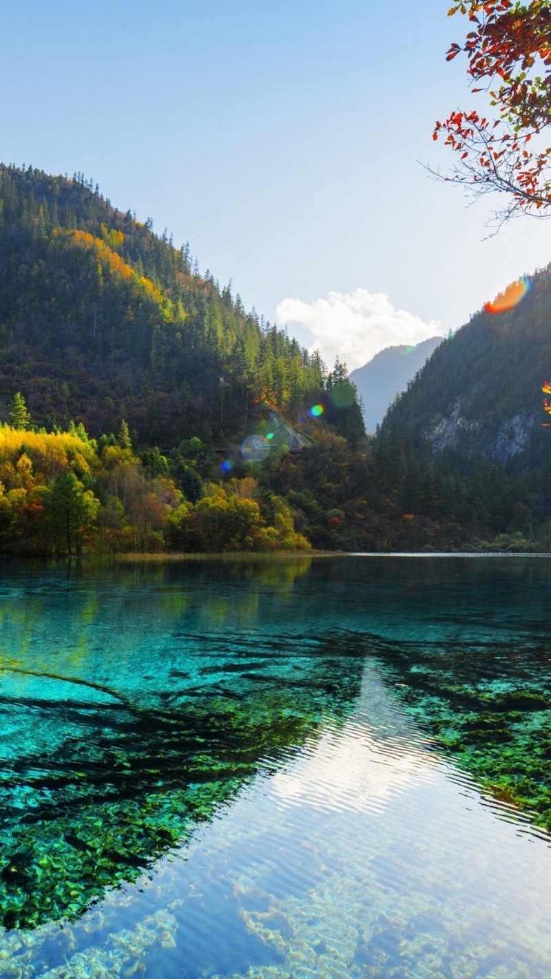 hinh-nen-iphone-15-12