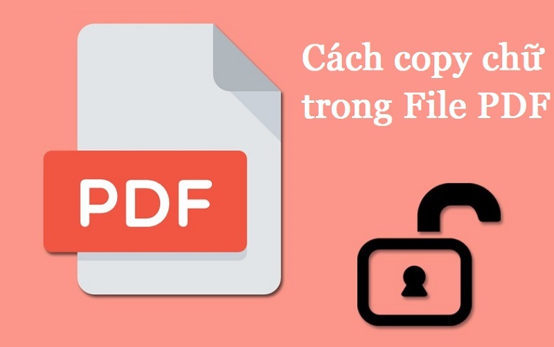 Bật mí cách copy chữ trong PDF đơn giản và nhanh chóng nhất