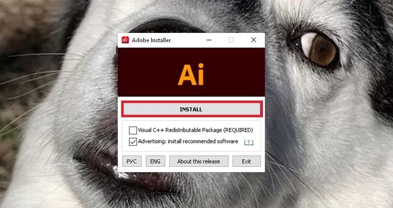 Nhấn vào nút INSTALL