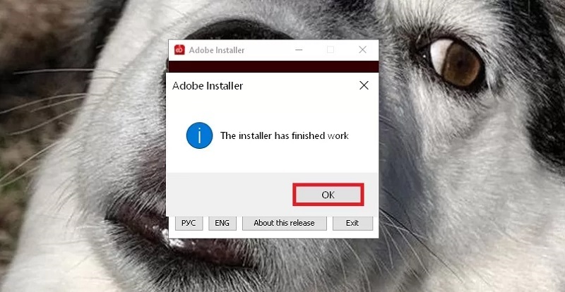 Tải Adobe Illustrator Miễn Phí FullCrack và Hướng dẫn Cài Đặt Nhanh Gọn Nhấn vào nút Ok