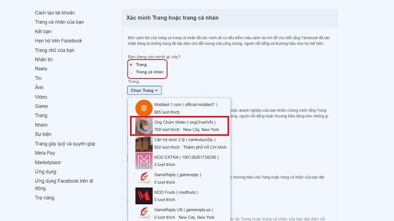 Chọn vào Trang Facebook mà bạn muốn làm dấu tích xanh