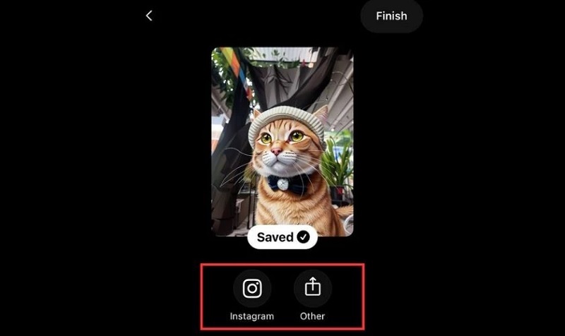 Chọn Instagram hoặc Other