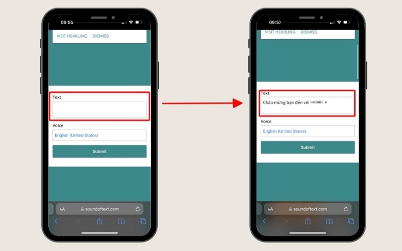 Nhập nội dung vào dưới mục Text