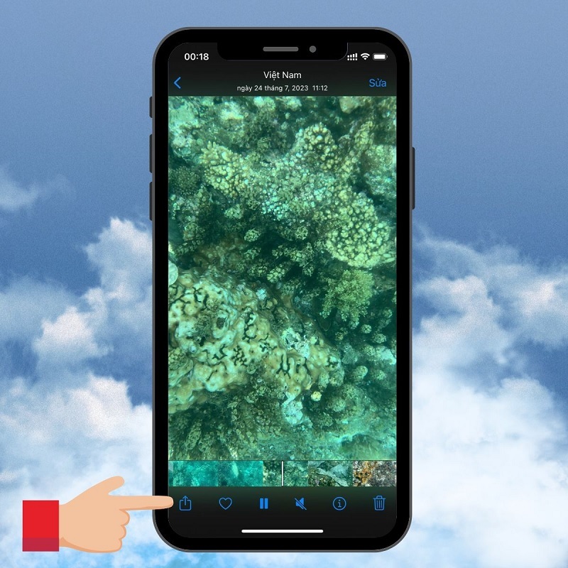 Chọn vào mục Chia sẻ