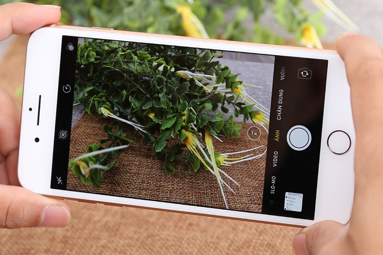 Iphone 8 Camera siêu chuẩn